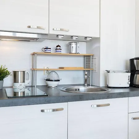 Börn Brn Seemöwe Laboe