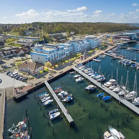 Börn Brn Seemöwe *