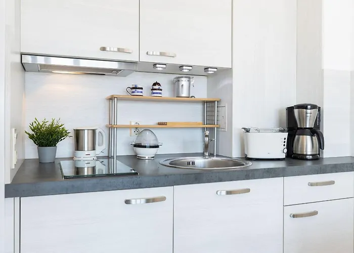 Boern Brn Seemoewe Laboe