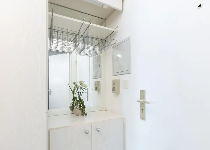 Boern Brn Seemoewe Laboe